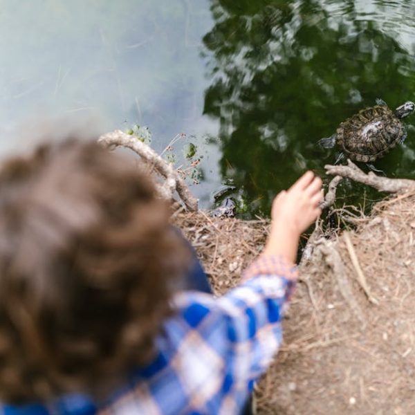 Hoover Quest 1000 Beeping: Decode and Fix Error Codes Fast