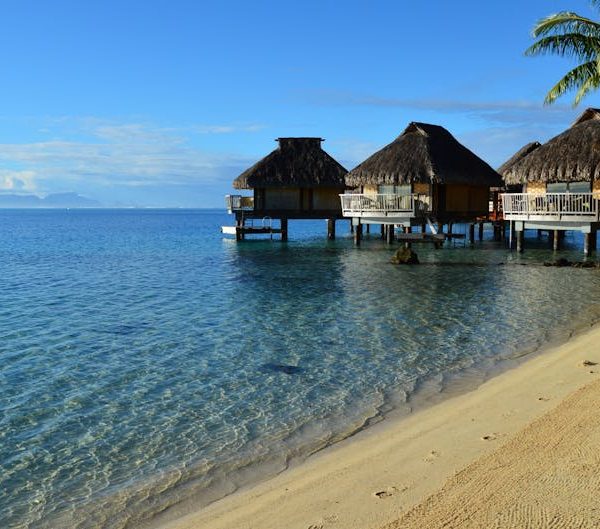 BORAX: Is It Safe and Can You Use It in Slime?