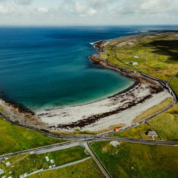 Can You Vacuum Up Diatomaceous Earth? Essential Tips Inside