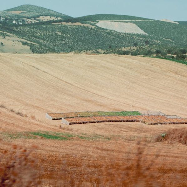 Clorox Spin Dry Mop: Ultimate User Guide & How-To Manual