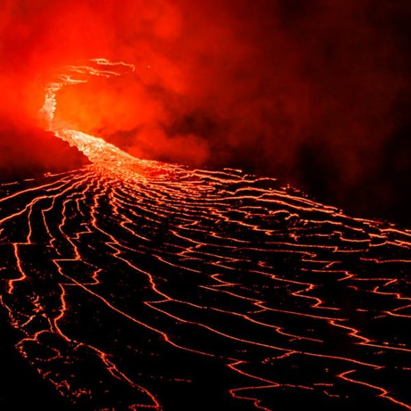 Does Steam Cleaning Kill Bed Bugs? (MUST READ)