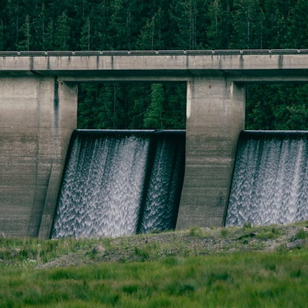 Effective Tips on How to Get Rid of Drain Worms