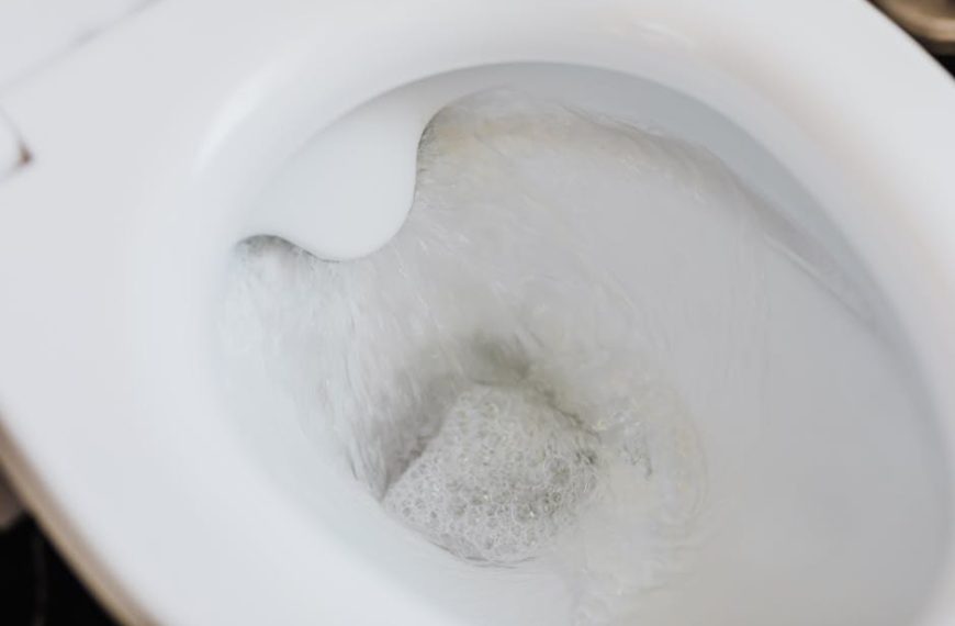 Effective Tips to Remove and Prevent Toilet Bowl Rings