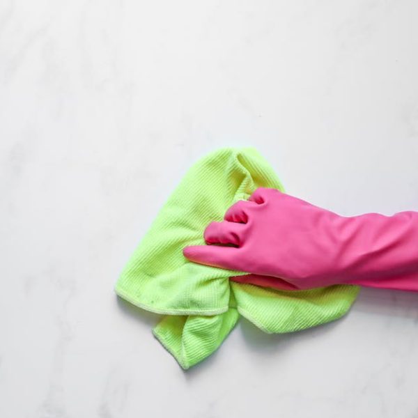 How to Correctly Reset Neato Botvac: Guide for All Models