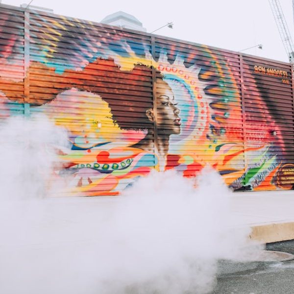 Maximizing the Dupray NEAT Steam Cleaner with All Accessories