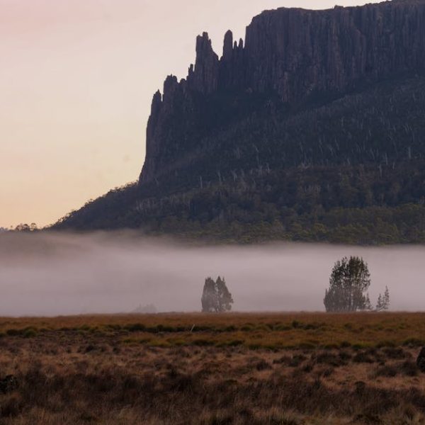 Resetting Roborock S5 and S6: A Step-by-Step Guide