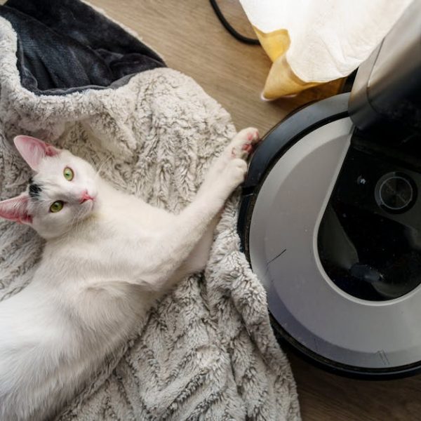Roomba Leaving Clumps of Hair? Find Solutions Here!
