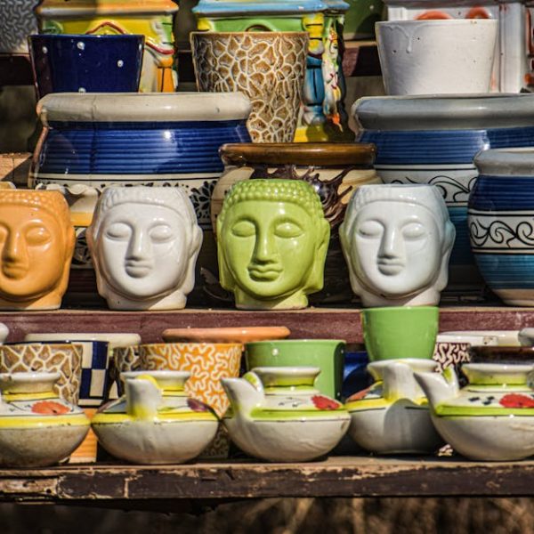 Shop-Vac Water Extraction: Complete How-To Guide