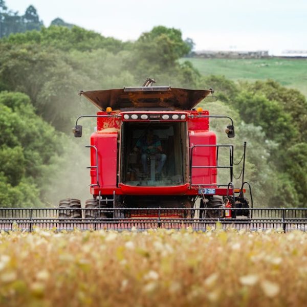 Step-by-Step Guide: Using Bissell Big Green Machine (Manual)