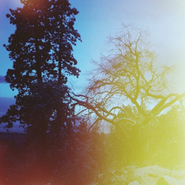 Swiffer WetJet Leaking? Fix It Fast with These 4 Simple Steps!