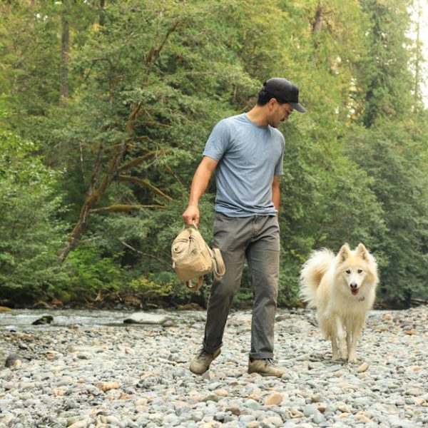 Troubleshooting Bissell Pet Stain Eraser: Error Codes Guide