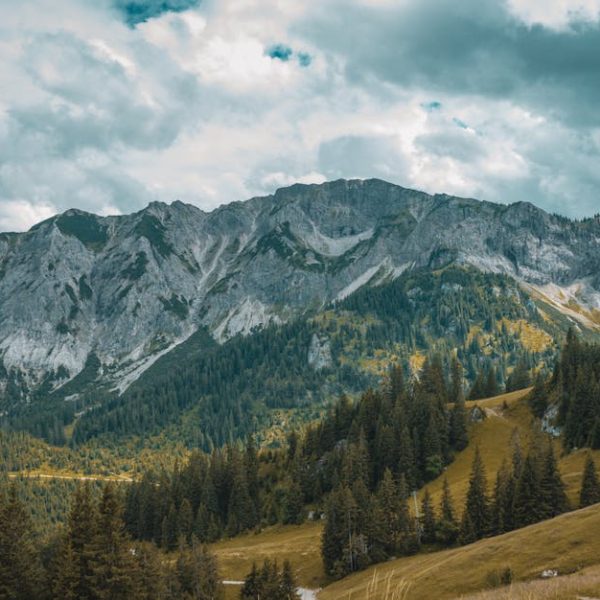 Wait … Can You Use Pine-Sol for Laundry? Find Out Here!