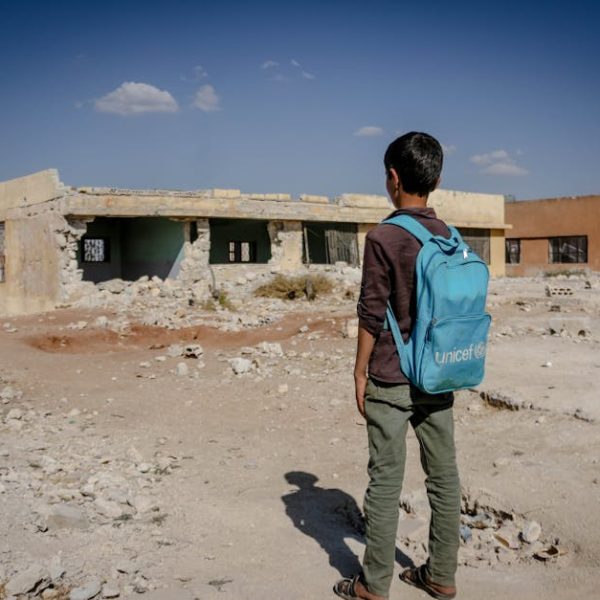 14+ Amazingly Effective Methods to Eliminate Dust Mites at Home