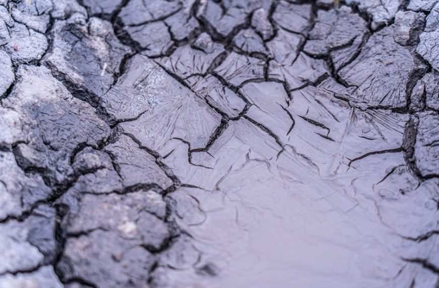 4 Easy Ways to Safely and Effectively Clean Mold Off Leather