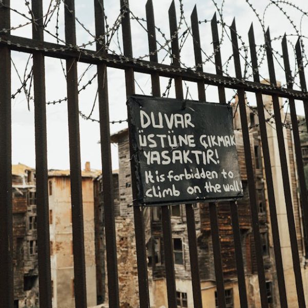 6 Simple Roach Deterrents and How to Effectively Use Them