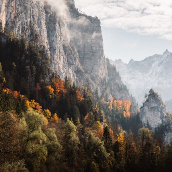 7+ Incredible Methods for Effortless Wallpaper Removal