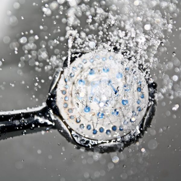 7 Quick and Effective Tips to Banish Shower Mold