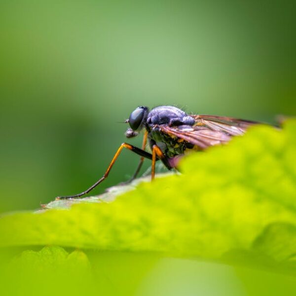 DIY Natural Car Upholstery Cleaner: Step-by-Step Guide