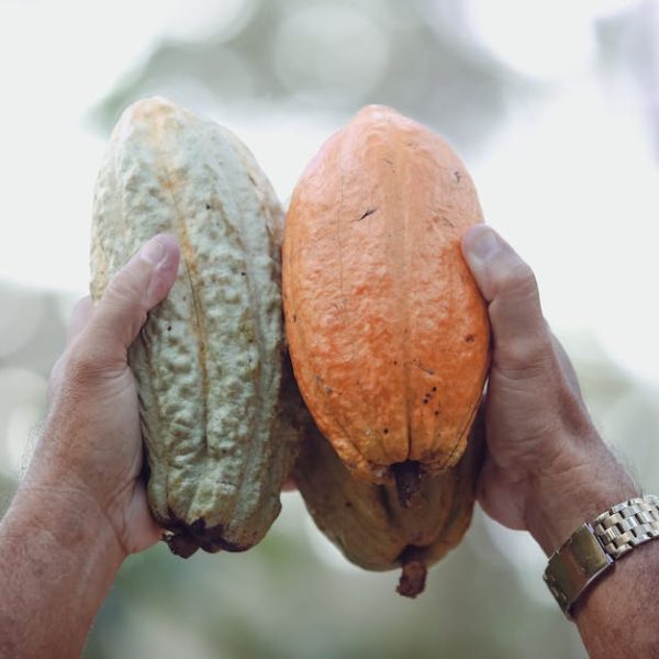 Effective Tips to Remove Chocolate Milk Stains from Shirts