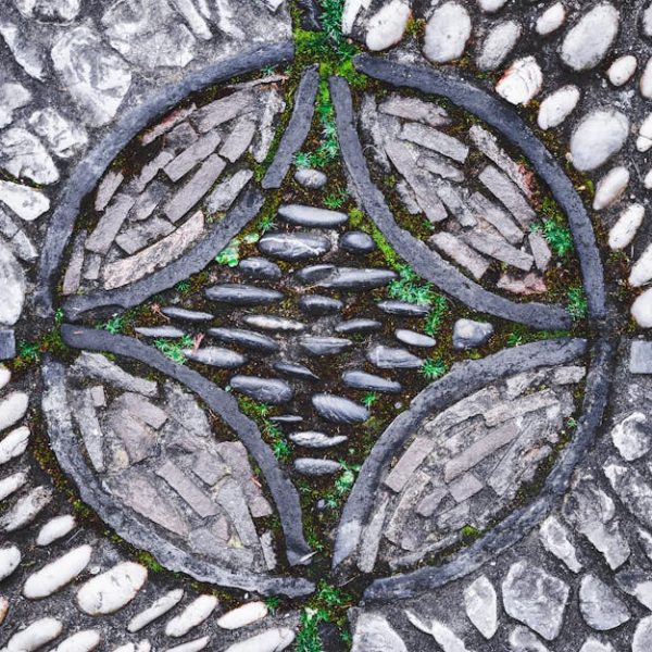 Effective Tips to Remove Grass Stains from Clothes Quickly