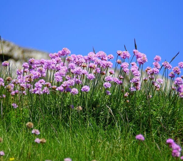 Master Thrifting: Easily Unshrink Your Dress with These Tips