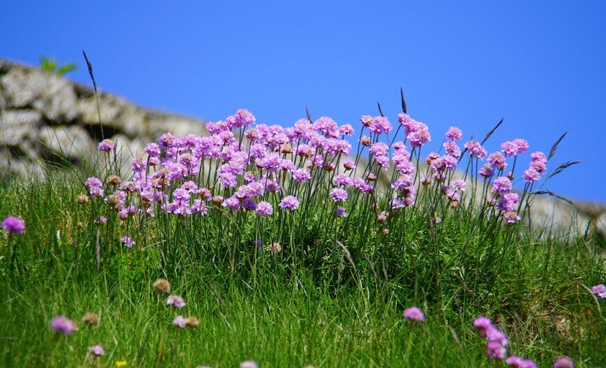 Master Thrifting: Easily Unshrink Your Dress with These Tips