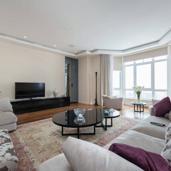 Mastering Shag Rug Cleaning: 4 Simple Steps to Perfect Vacuuming