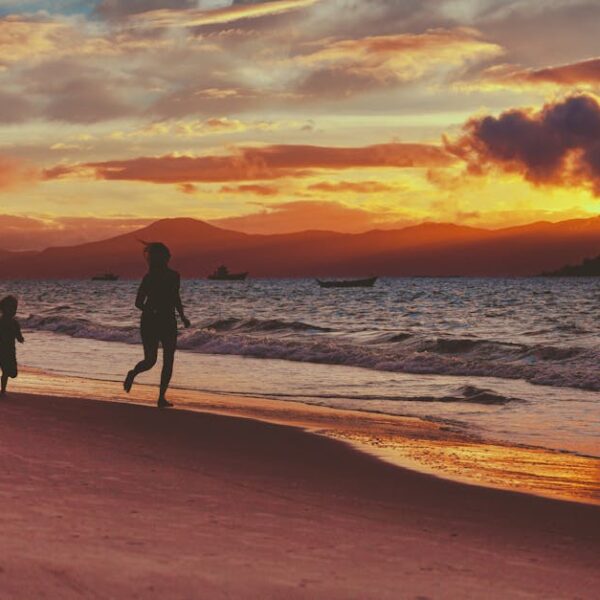 Mastering the Use of Carbona Color Run Remover: Step-by-Step Guide