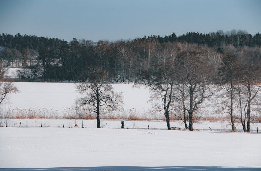 Quickest Ways to Cure a Cold Sore: Effective Tips and Remedies