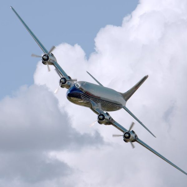 Top Solutions: Best Ways to Effectively Get Rid of Flies