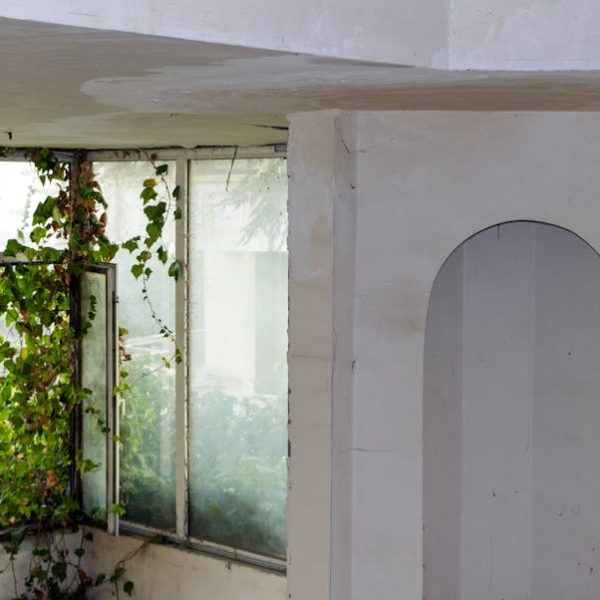 Top Tips to Eliminate Sticky Adhesive and Remove Wall Residue